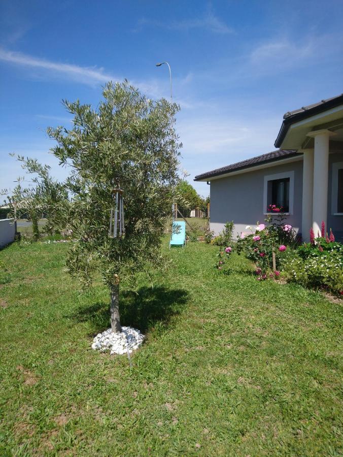 Le Bonheur A Portee De Mains Bergerac Exteriör bild
